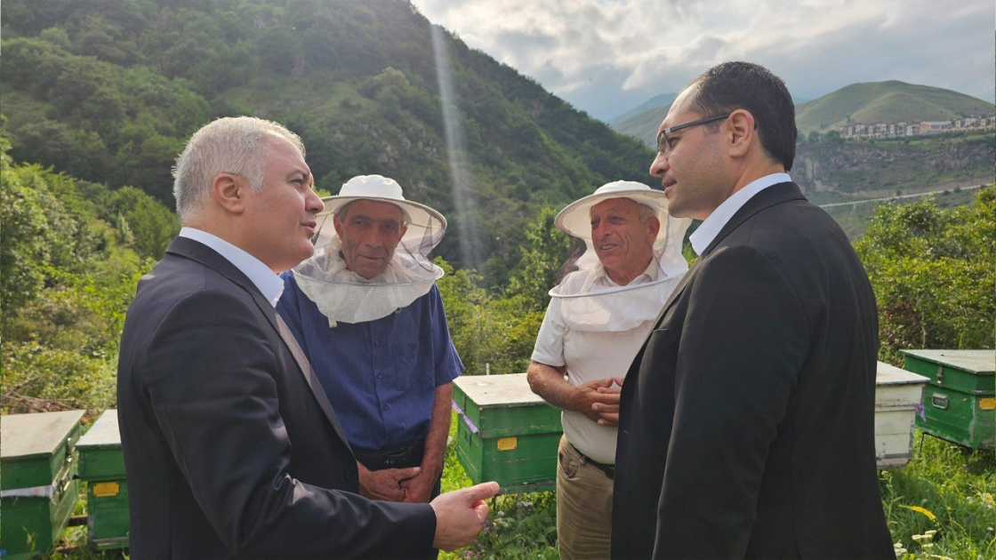 Nazir Məcnun Məmmədov Kəlbəcərdə təsərrüfatlara baxış keçirib